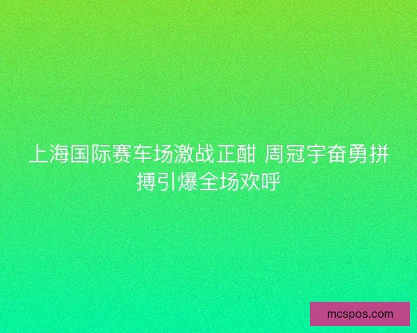 上海国际赛车场激战正酣 周冠宇奋勇拼搏引爆全场欢呼
